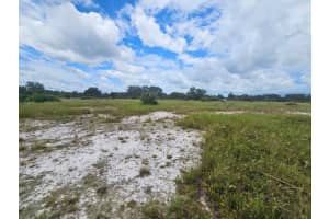 625 REED ROAD, AVON PARK, FL 33825 - MLS#MFRTB8422093