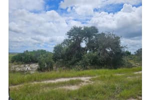 625 REED ROAD, AVON PARK, FL 33825 - MLS#MFRTB8422093