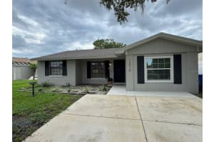 12418 QUEENSLAND LANE, TAMPA, FL 33625 - MLS#MFRTB8422132