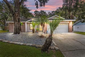 1613 LONG POND DRIVE, VALRICO, FL 33594 - MLS#MFRTB8422162