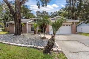 1613 LONG POND DRIVE, VALRICO, FL 33594 - MLS#MFRTB8422162