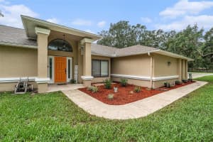 18212 HOOT OWL LANE, SPRING HILL, FL 34610 - MLS#MFRTB8422165