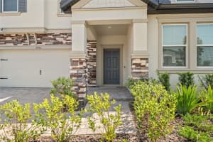 31954 SAPNA CHIME DRIVE, WESLEY CHAPEL, FL 33545 - MLS#MFRTB8422210