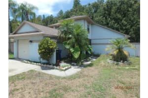 5947 Birchwood Dr, TAMPA