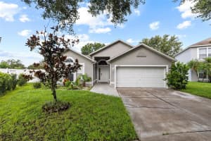 13402 COPPER HEAD DRIVE, RIVERVIEW, FL 33569 - MLS#MFRTB8422222