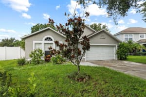 13402 COPPER HEAD DRIVE, RIVERVIEW, FL 33569 - MLS#MFRTB8422222
