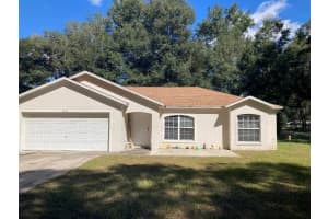 3073 142ND LANE, SUMMERFIELD, FL 34491 - MLS#MFRTB8422227