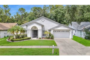 , TAMPA