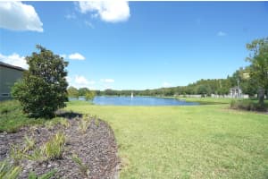 18824 BIRCHWOOD GROVES DRIVE, LUTZ, FL 33558 - MLS#MFRTB8422264