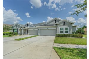 4256 Ashton Meadows Way, WESLEY CHAPEL