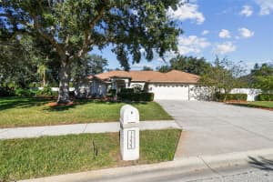1333 ALANA COURT, LUTZ, FL 33549 - MLS#MFRTB8422302