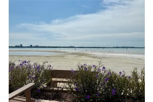 855 BAYWAY BOULEVARD, CLEARWATER BEACH, FL 33767 - MLS#MFRTB8422312