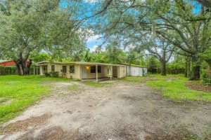 8307 N Ogontz Ave, TAMPA
