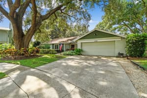 4703 Freshwind Ave, TAMPA