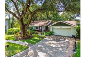 4703 FRESHWIND AVENUE, TAMPA, FL 33624 - MLS#MFRTB8422324