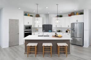 28778 ORANGE BERRY DRIVE, WESLEY CHAPEL, FL 33543 - MLS#MFRTB8422343