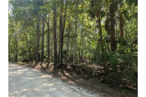 6252 RIVER ROAD, HERNANDO, FL 34442 - MLS#MFRTB8422344
