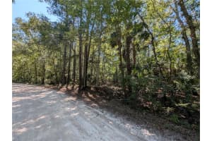 6252 RIVER ROAD, HERNANDO, FL 34442 - MLS#MFRTB8422344