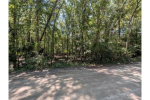6252 RIVER ROAD, HERNANDO, FL 34442 - MLS#MFRTB8422344