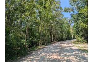 6252 RIVER ROAD, HERNANDO, FL 34442 - MLS#MFRTB8422344