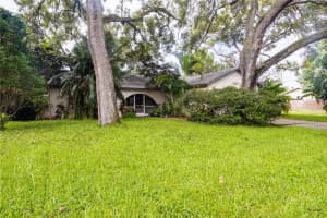 2117 Briarway Dr, CLEARWATER