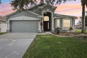 30801 BIRDHOUSE DRIVE, WESLEY CHAPEL, FL 33545 - MLS#MFRTB8422359