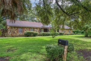 15509 WALDEN AVENUE, TAMPA, FL 33618 - MLS#MFRTB8422365