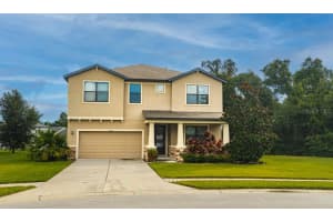 8206 Summer Brook Ct, LAND O LAKES