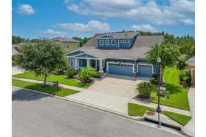 8312 Swiss Chard Cir, LAND O LAKES