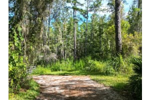 AYLESBORO CT, BROOKSVILLE, FL 34602 - MLS#MFRTB8422400