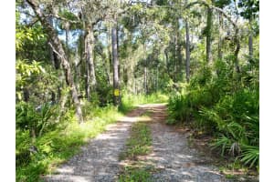 AYLESBORO CT, BROOKSVILLE, FL 34602 - MLS#MFRTB8422400