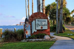 864 LAKE HAVEN ROAD, DUNEDIN, FL 34698 - MLS#MFRTB8422410