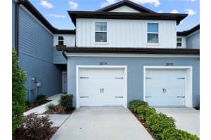 2874 Deer Pine Trl, LAND O LAKES