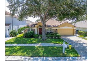 701 June Lake Ln, BRANDON