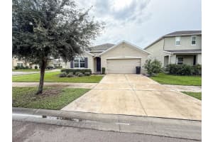 15402 Ibis Fall Pl, SUN CITY CENTER