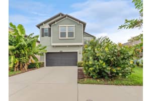 8882 FLOURISH DRIVE, LAND O LAKES, FL 34637 - MLS#MFRTB8422431