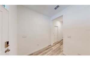 17280 BIGLEAF MAHOGANY LANE, LAND O LAKES, FL 34638 - MLS#MFRTB8422459