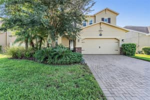 1974 NATURE VIEW DRIVE, LUTZ, FL 33558 - MLS#MFRTB8422468
