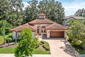 32834 Estate Garden Dr, WESLEY CHAPEL