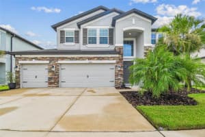 6584 DUTTON DRIVE, WESLEY CHAPEL, FL 33545 - MLS#MFRTB8422501