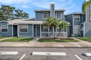 5421 Britwell Ct, TAMPA