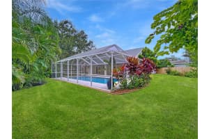 1580 SADDLE COURT, PALM HARBOR, FL 34683 - MLS#MFRTB8422517