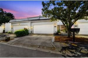 114 W Targa Ct, TAMPA