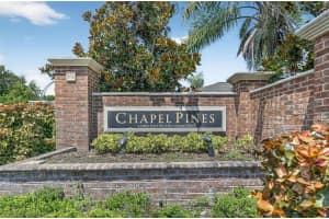 6510 TABOGI TRAIL, WESLEY CHAPEL, FL 33545 - MLS#MFRTB8422528