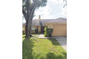 7112 Hollowell Dr, TAMPA