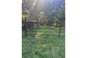 22299 POWELL ROAD, BROOKSVILLE, FL 34602 - MLS#MFRTB8422542
