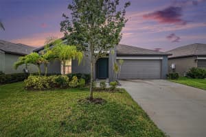 10433 Alder Green Dr, RIVERVIEW