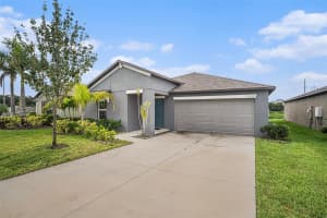 10433 ALDER GREEN DRIVE, RIVERVIEW, FL 33578 - MLS#MFRTB8422545