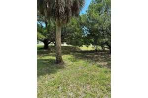 CORAL DR, HUDSON, FL 34667 - MLS#MFRTB8422549
