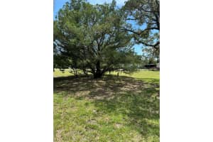 CORAL DR, HUDSON, FL 34667 - MLS#MFRTB8422549